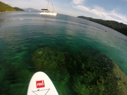View when standing up on the SUP